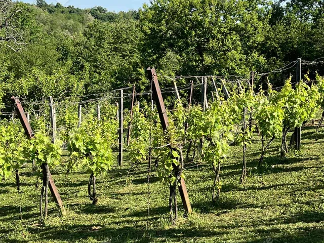 Eladó telek Csatár 2078 nm