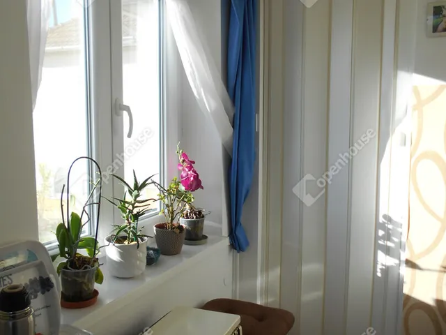 Eladó telek Zalaegerszeg 1166 nm