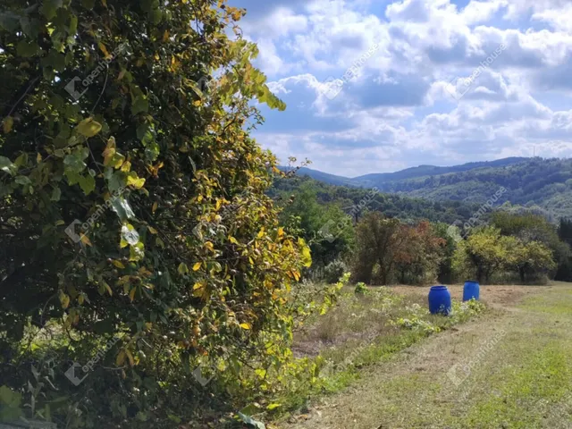 Eladó telek Zalaegerszeg 4019 nm