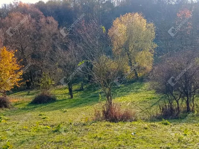 Eladó telek Zalaegerszeg 1486 nm