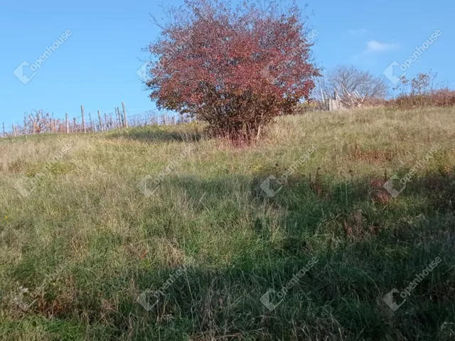 Eladó telek Zalaegerszeg 1139 nm