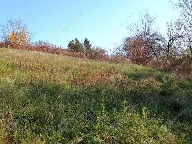 Eladó telek Zalaegerszeg 1139 nm