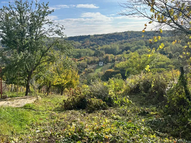 Eladó telek Pethőhenye 1379 nm