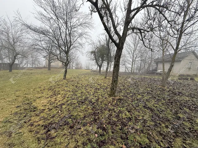 Eladó telek Gyűrűs 1620 nm