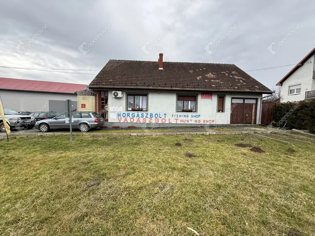 Eladó ház Pacsa 200 nm