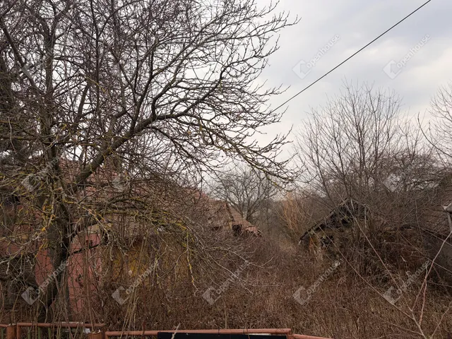 Eladó telek Kiskutas 2394 nm