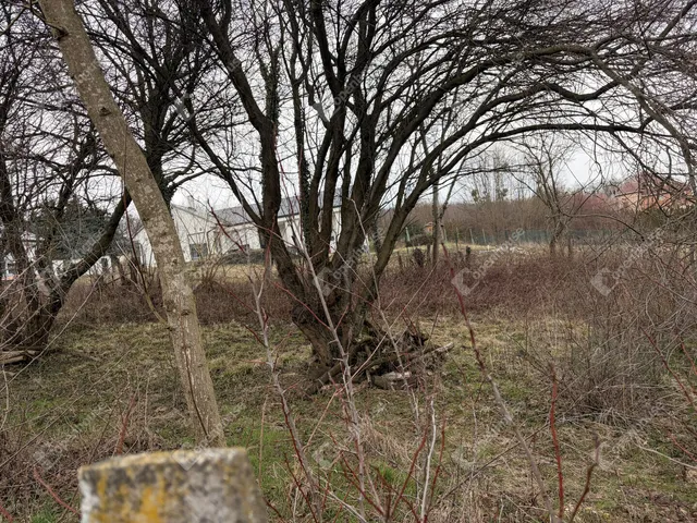 Eladó telek Kiskutas 2394 nm