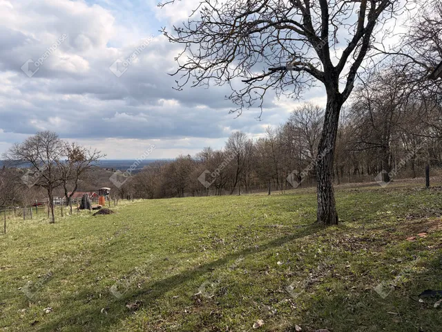 Eladó telek Gosztola 1221 nm