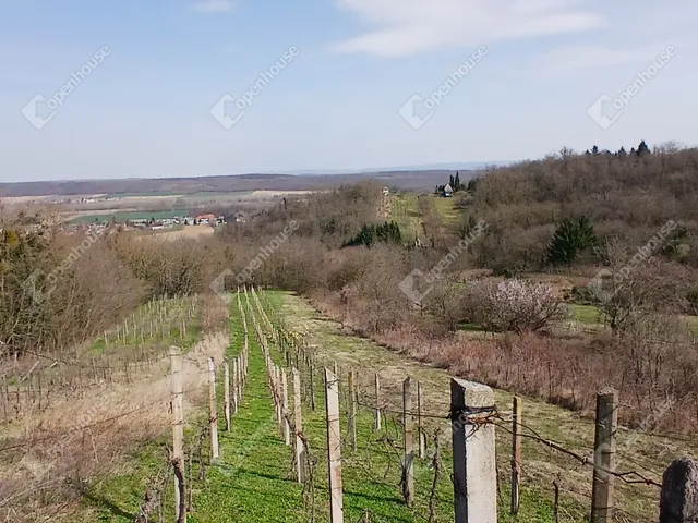 Eladó telek Nagypáli 2014 nm