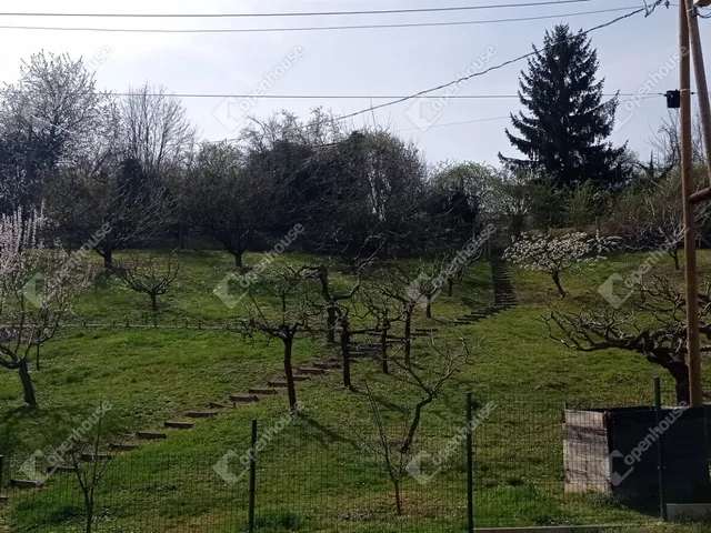 Eladó telek Zalaegerszeg 5300 nm