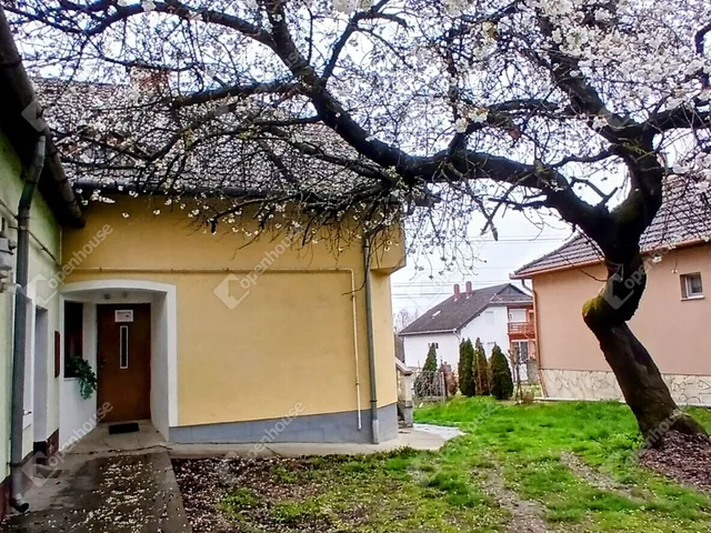 Eladó lakás Galambok 920 nm