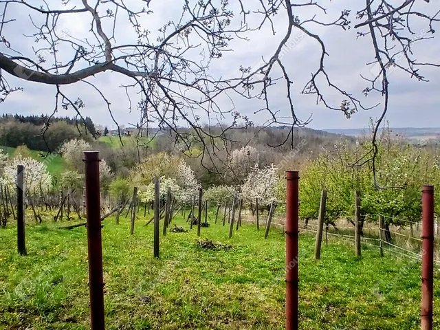 Eladó mezőgazdasági ingatlan Boncodfölde 30 nm