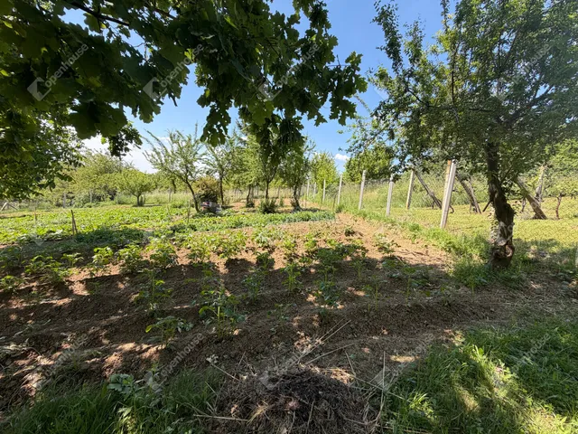 Eladó telek Zalaegerszeg 875 nm