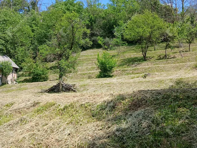 Eladó telek Zalaegerszeg 1645 nm