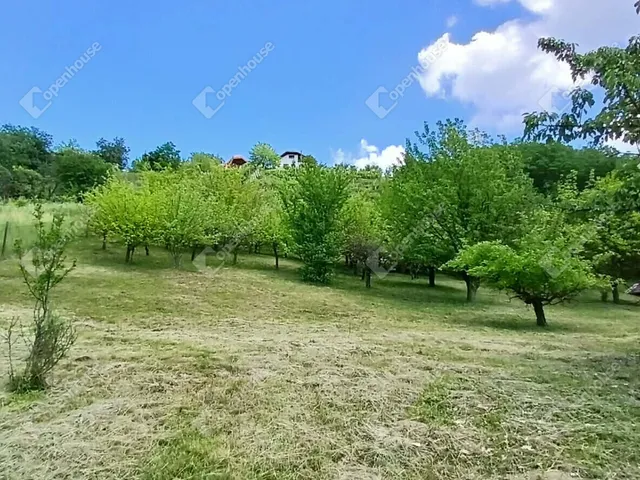 Eladó telek Zalaegerszeg 1965 nm