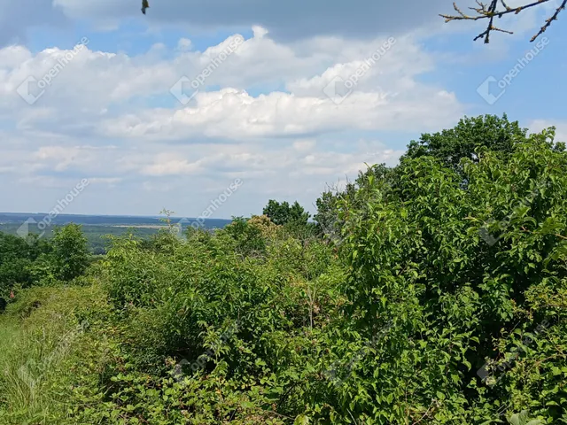 Eladó telek Lenti 6399 nm