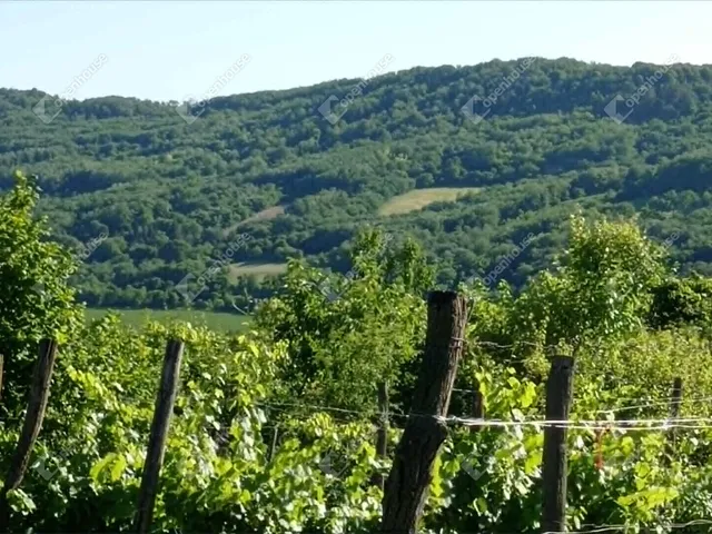 Eladó telek Zalabér 17363 nm