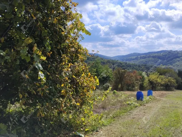 Eladó telek Zalaegerszeg 4019 nm