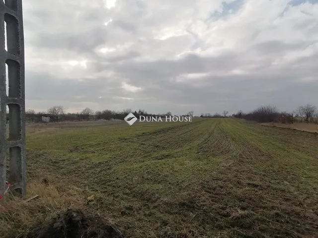Eladó telek Mezőfalva 3607 nm