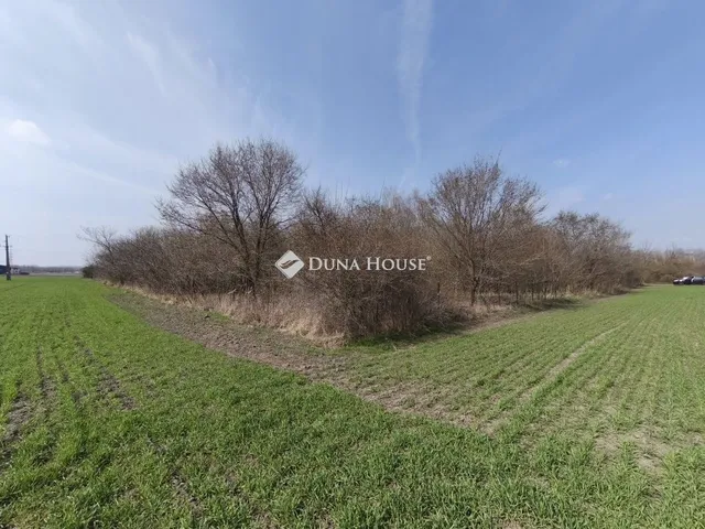 Eladó telek Apostag 864 nm