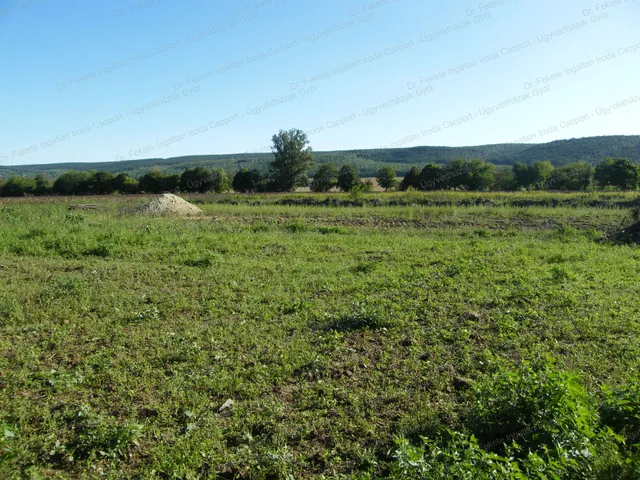 Eladó telek Tényő 10000 nm