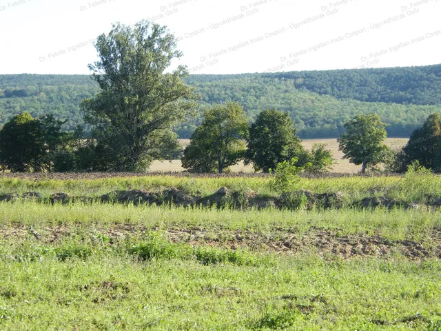 Eladó telek Tényő 10000 nm