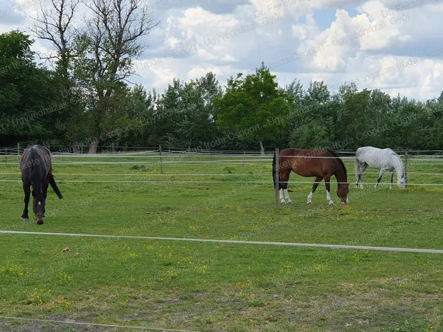 Eladó mezőgazdasági ingatlan Győr, Gyirmót 884 nm