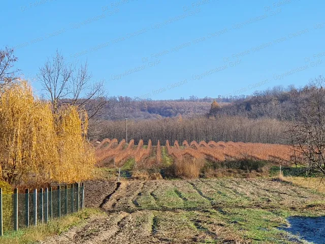 Eladó telek Tényő 1046 nm