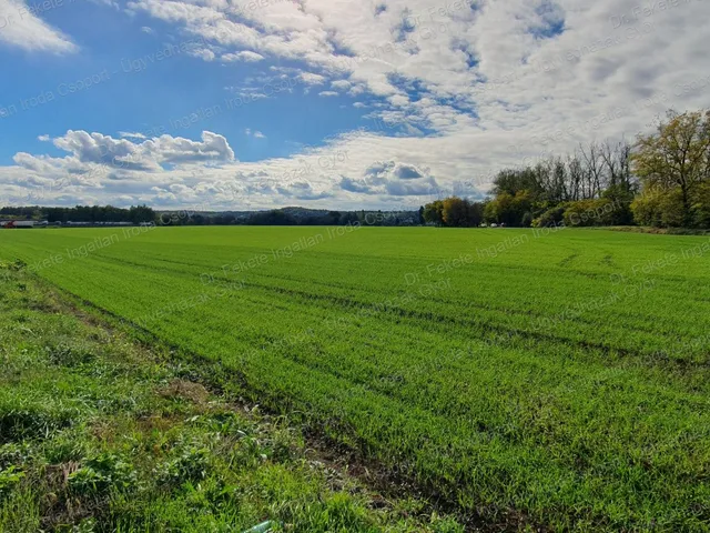 Eladó kereskedelmi és ipari ingatlan Győrújbarát, Ipari park 1 nm