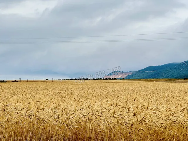 Eladó telek Kosd 1210 nm