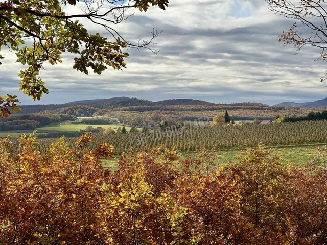 Eladó mezőgazdasági ingatlan Berkenye 1 nm