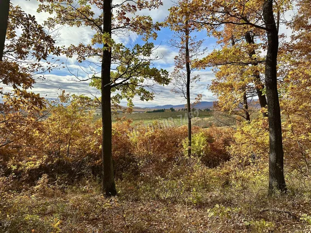 Eladó mezőgazdasági ingatlan Berkenye 1 nm