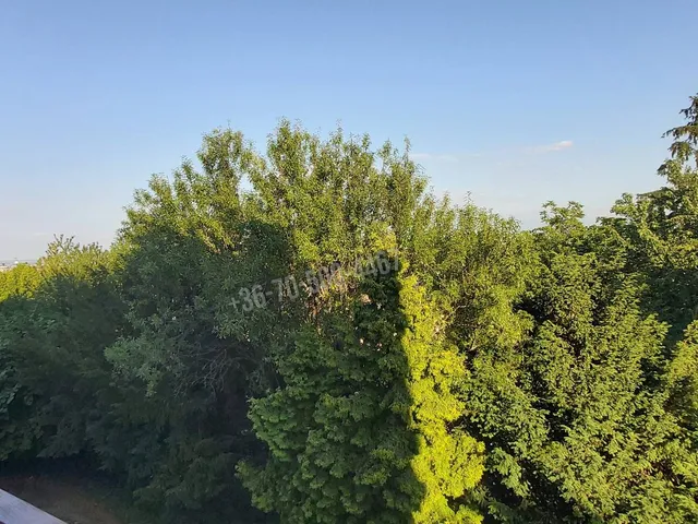 Eladó lakás Budapest XII. kerület, Budakeszierdő 81 nm