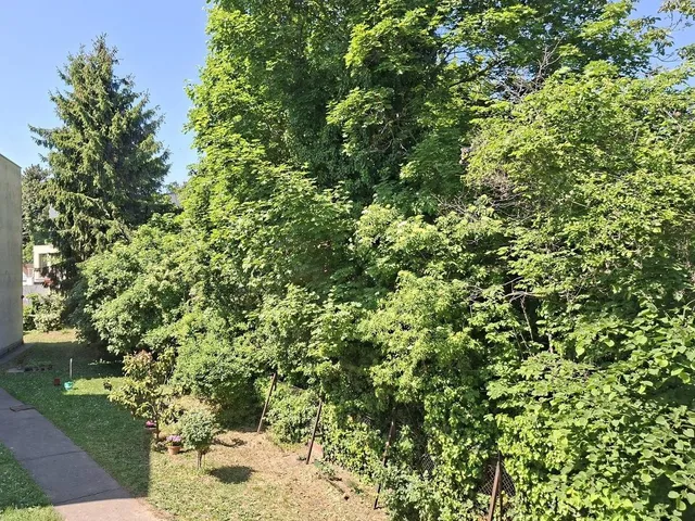 Eladó lakás Budapest XII. kerület, Budakeszierdő 81 nm