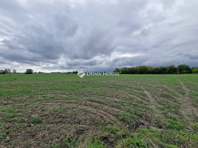 Eladó mezőgazdasági ingatlan Kalocsa 74841 nm