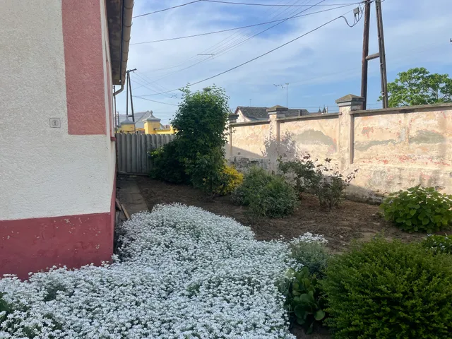 Eladó ház Hercegszántó 105 nm