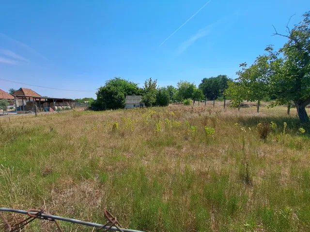 Eladó mezőgazdasági ingatlan Baja 15 nm
