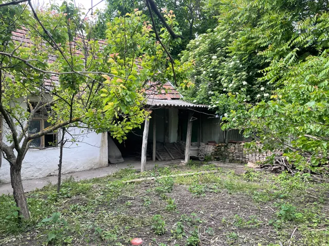 Eladó ház Hercegszántó 100 nm