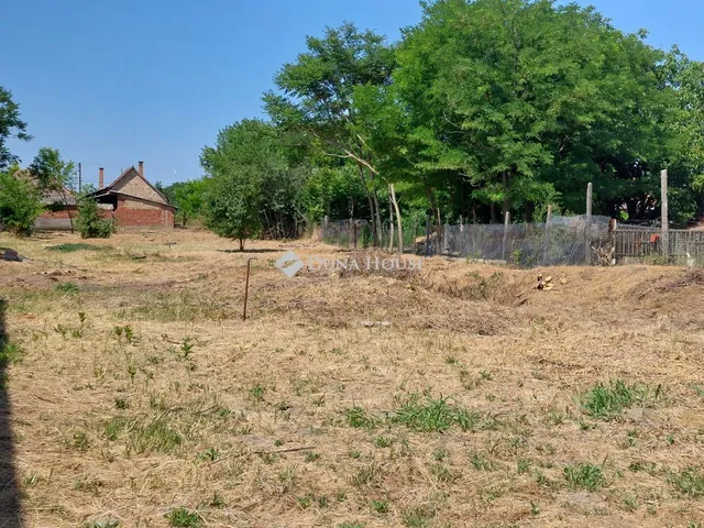 Eladó telek Csávoly 1452 nm