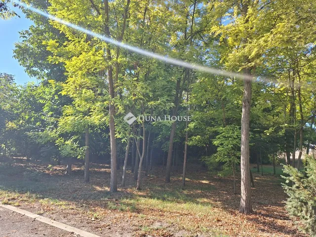 Eladó ház Bácsborsód 170 nm