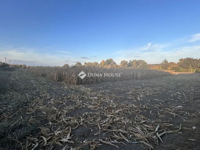 Eladó telek Vaskút 1547 nm