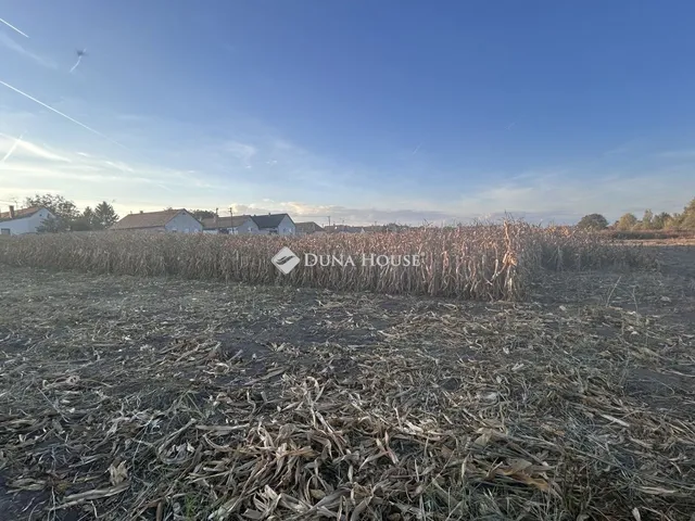 Eladó telek Vaskút, Deák Ferenc utca 1547 nm