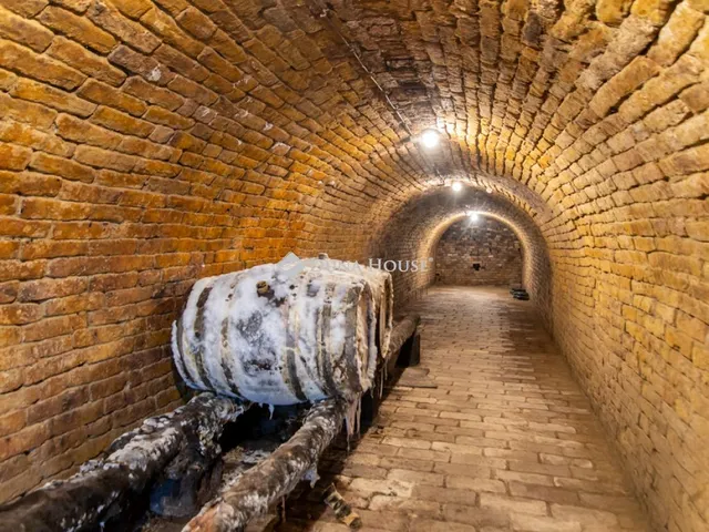 Eladó kereskedelmi és ipari ingatlan Nemesnádudvar 40 nm