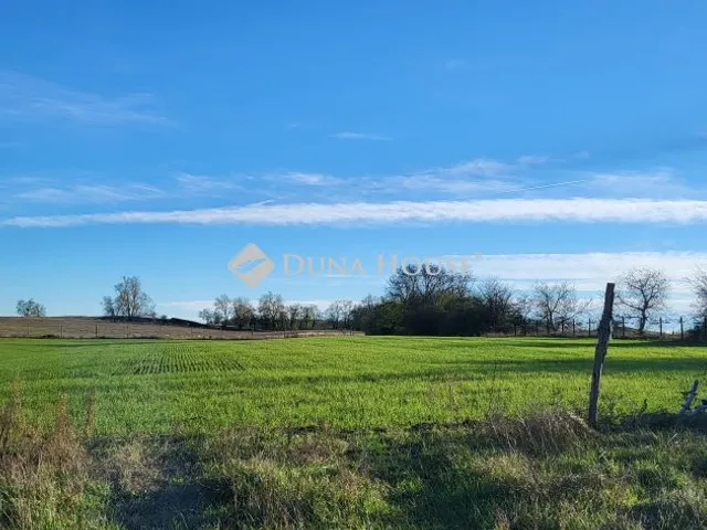 Eladó mezőgazdasági ingatlan Nemesnádudvar, Nincs utca 15152 nm