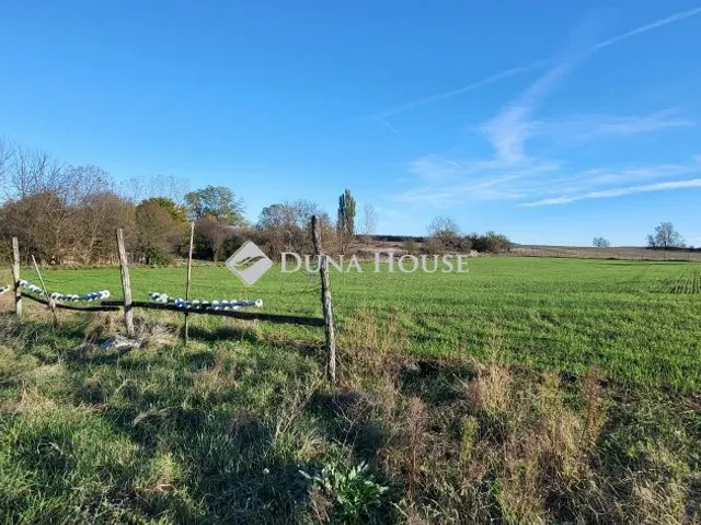 Eladó mezőgazdasági ingatlan Nemesnádudvar, Nincs utca 15152 nm