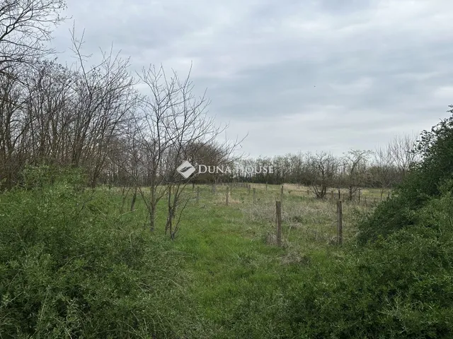 Eladó mezőgazdasági ingatlan Sükösd 4269 nm