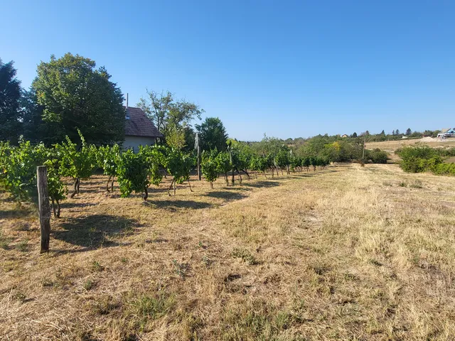 Eladó telek Balatonkenese 3320 nm