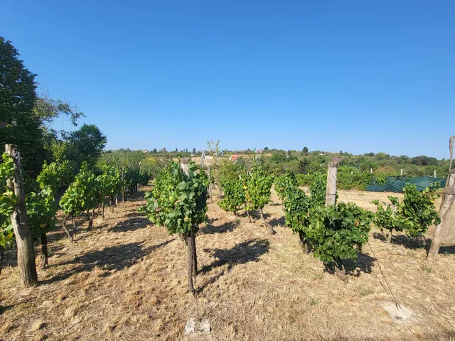 Eladó telek Balatonkenese 3320 nm