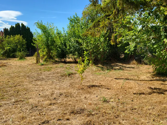 Eladó telek Balatonkenese 964 nm