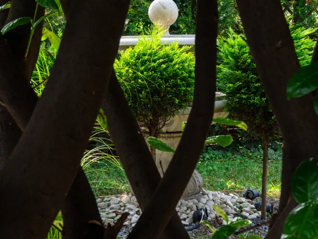 Eladó ház Budapest XVI. kerület, Rákosszentmihály, Nefelejcs utca 250 nm